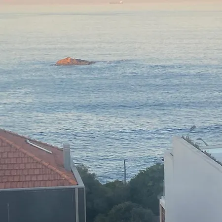 بورتوفوز بورتو