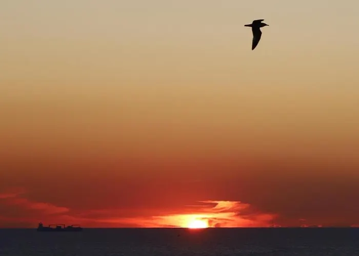 فندق بورتوفوز